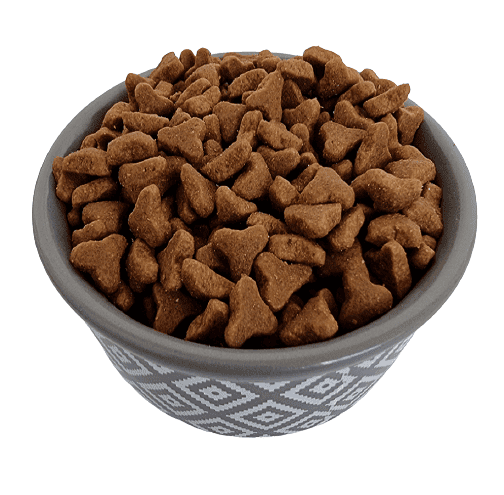 Attēls: Royal Canin FBN Bengal, Sveramā