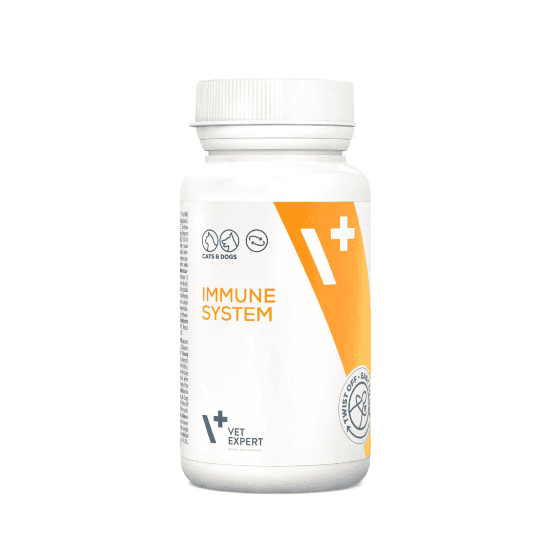 VE-Immune-System_20240102-1086×1536 (1)