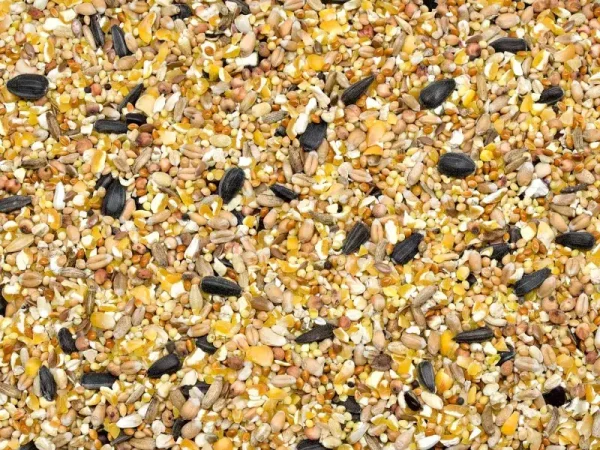Graudu un sēklu maisījums Dārza Un Savvaļas Putniem 5kg