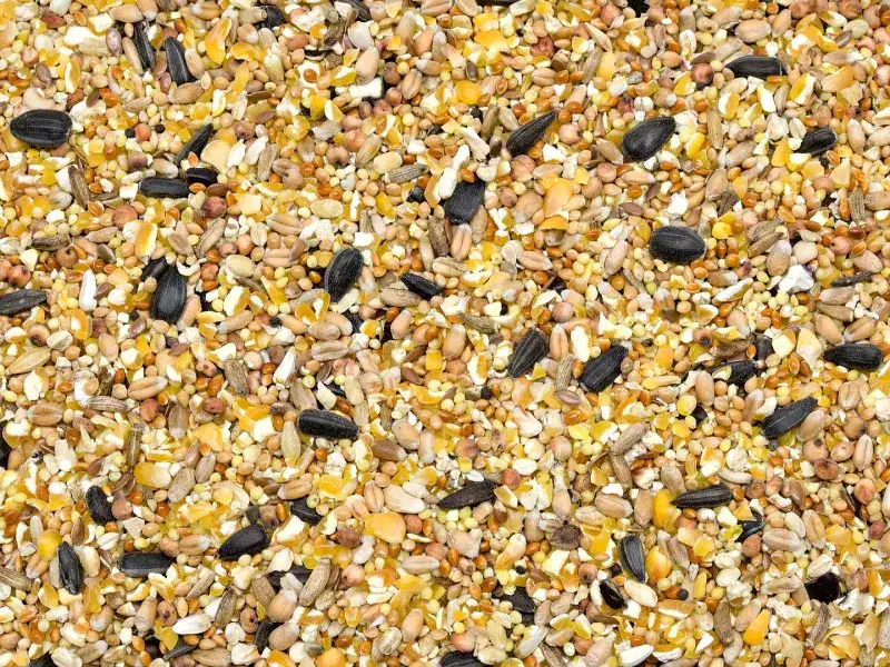 Attēls: Graudu un sēklu maisījums Dārza Un Savvaļas Putniem 25kg