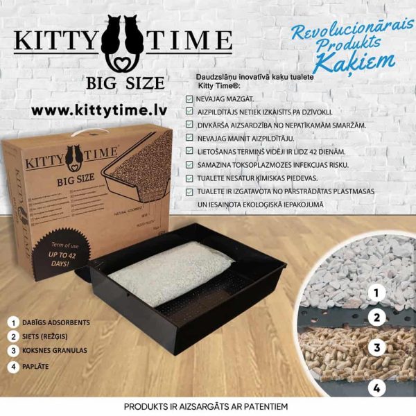 “Kitty Time” BIG SIZE