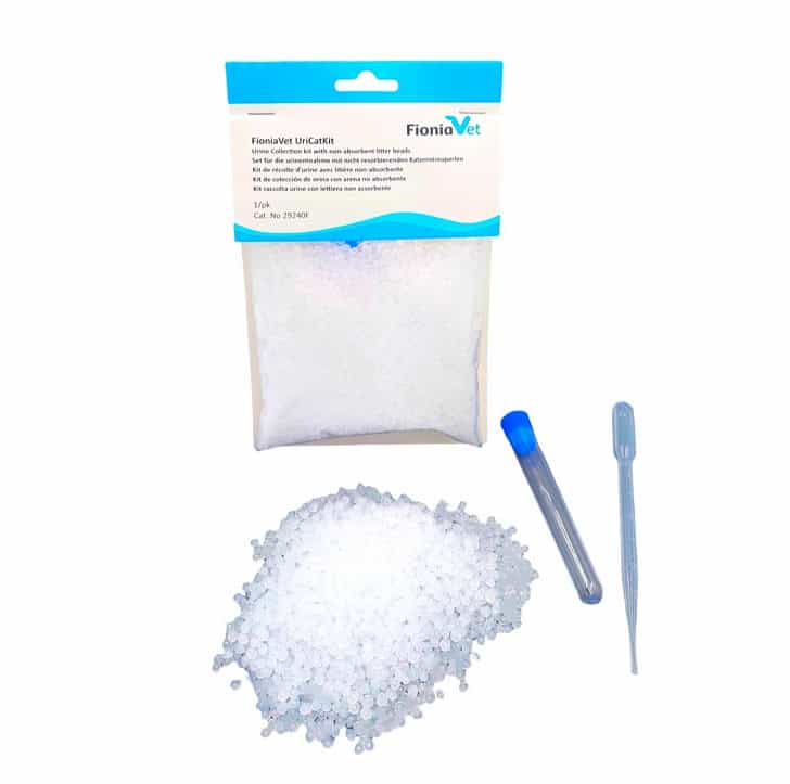 FioniaVet-9 (1)