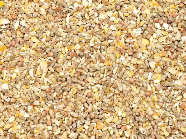 Pilnvērtīga barība dējējvistām 10kg