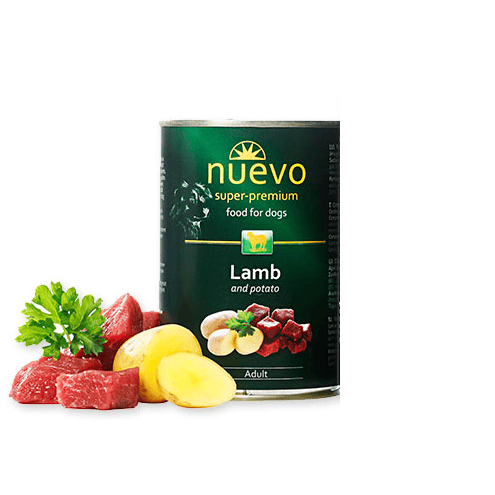 n-lamb (1) (1)