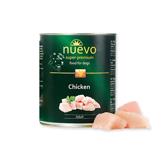 nd-chicken () (1)
