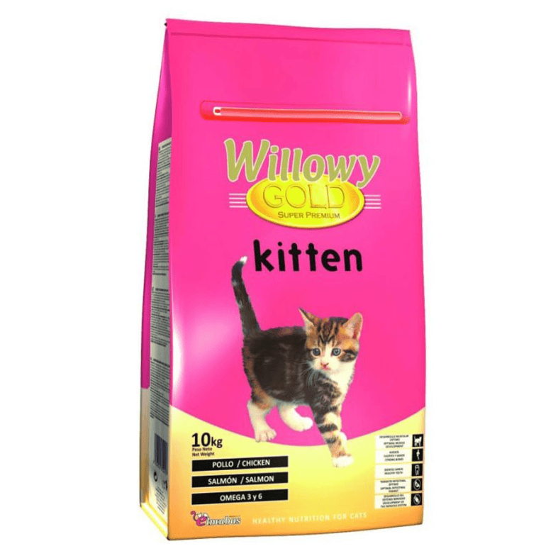 willowy-kitten-